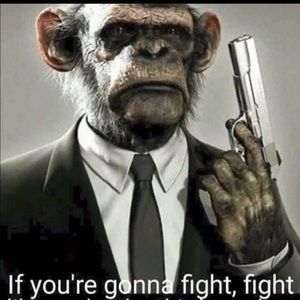 Meet your Posher, Kevin